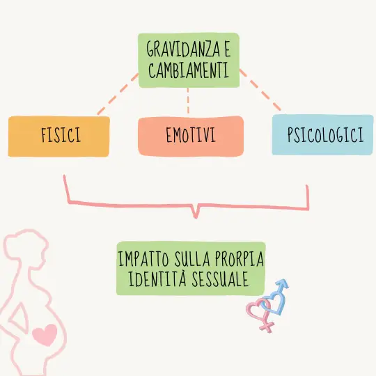 schema sui fattori che causano cambiamenti nella fase della gravidanza, l'impatto della propria identità sessuale nella fase della gravidanza. Articolo di Psicologia Sana sul sesso in gravidanza