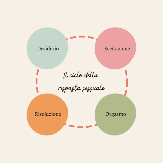 schema che rappresenta il ciclo della risposta sessuale della donna.